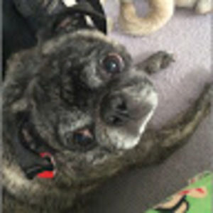 Meet your Posher, Tanja